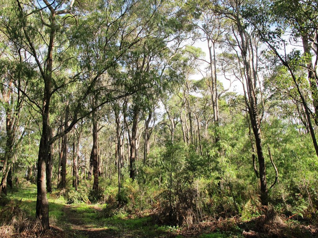 Margarets In Town Apartments Margaret River Buitenkant foto